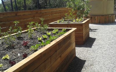 Raised Planter Boxes