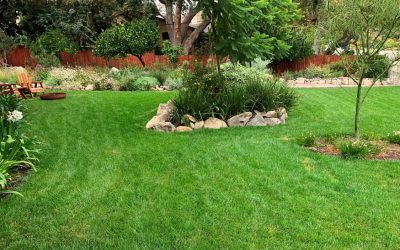 La Crescenta Lawncare – Cool Season Grasses – Part 2