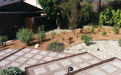 Installation of a New Landscape or Revive an Existing Landscape?