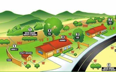 Fire Safety for the Southern California Landscape