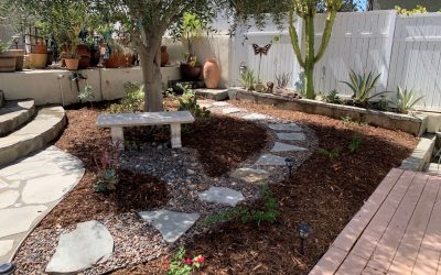 Drought Tolerant Landscapes