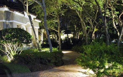 Landscape Lighting Installation